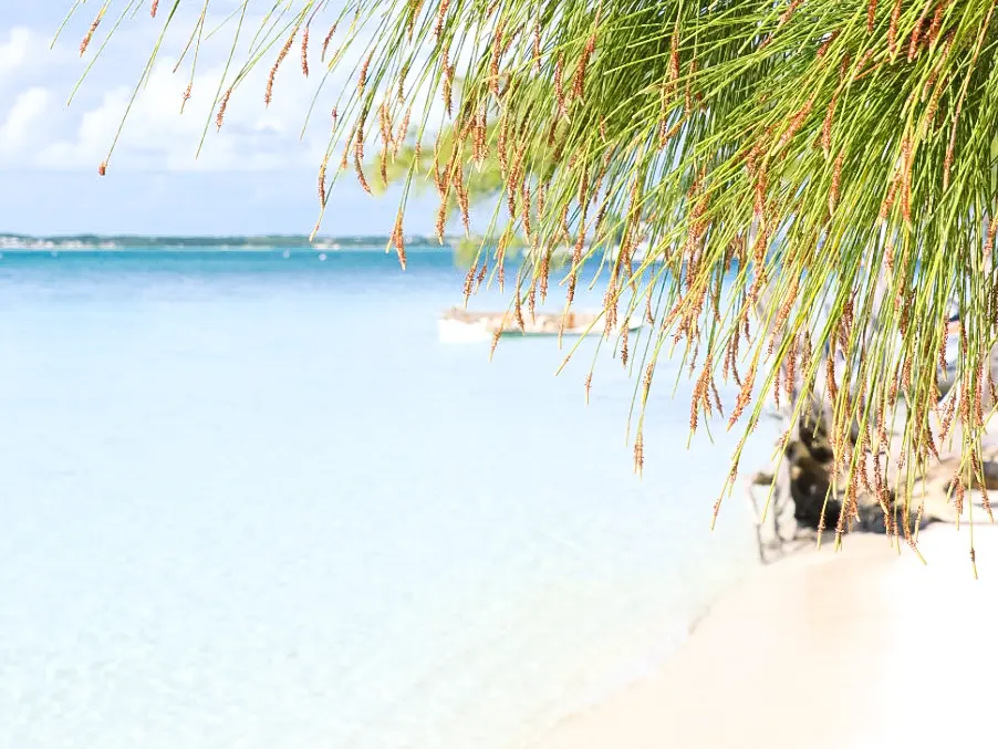 beach yoga bahamas