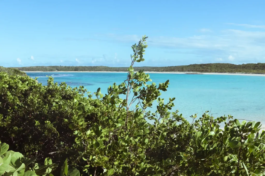 deans blue hole cliff jumping