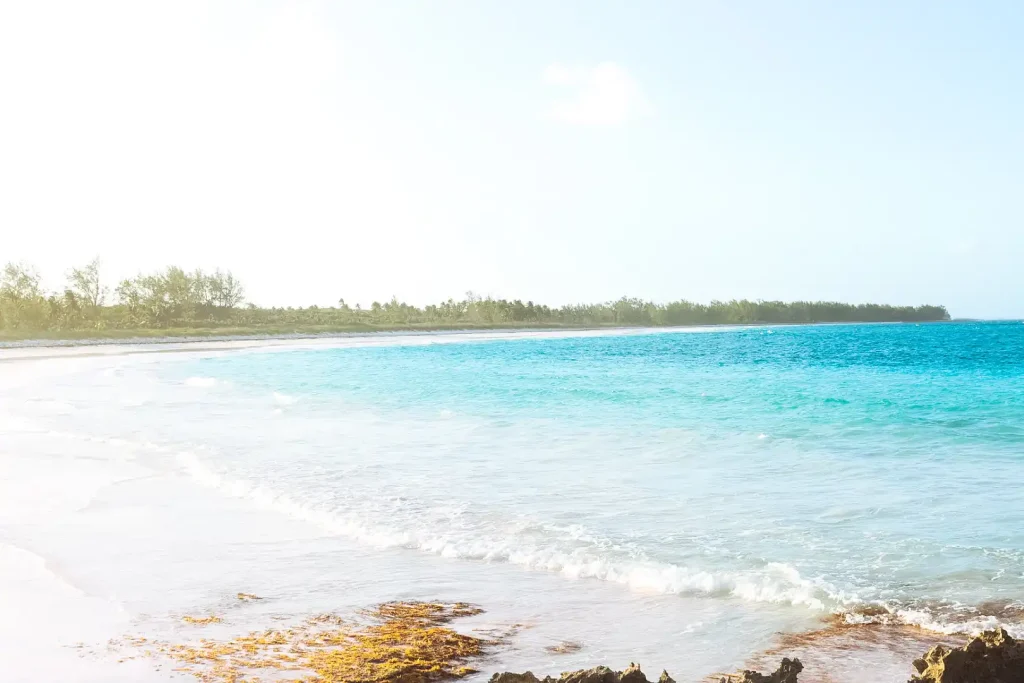french leave beach eleuthera 2