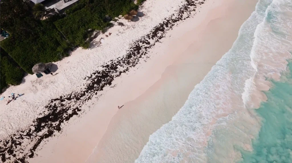 harbour island bahamas 1