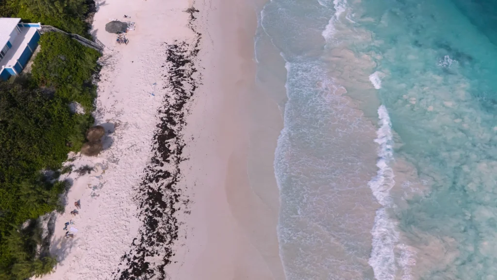harbour island bahamas pink sand