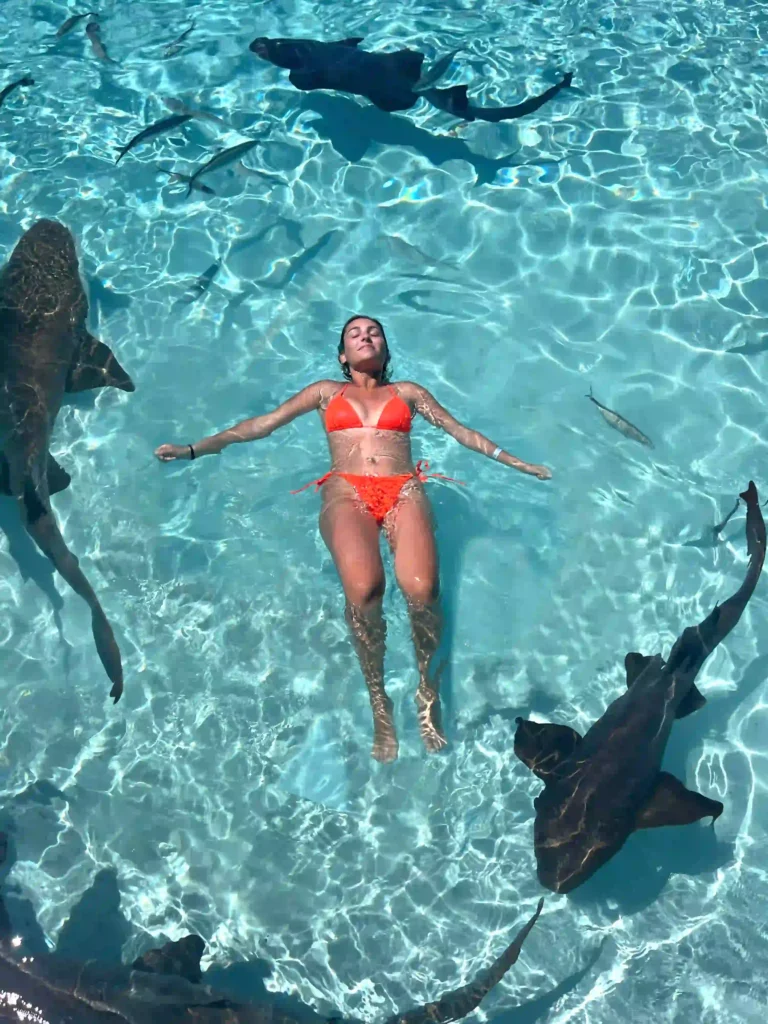 luxury travel bahamas with sharks