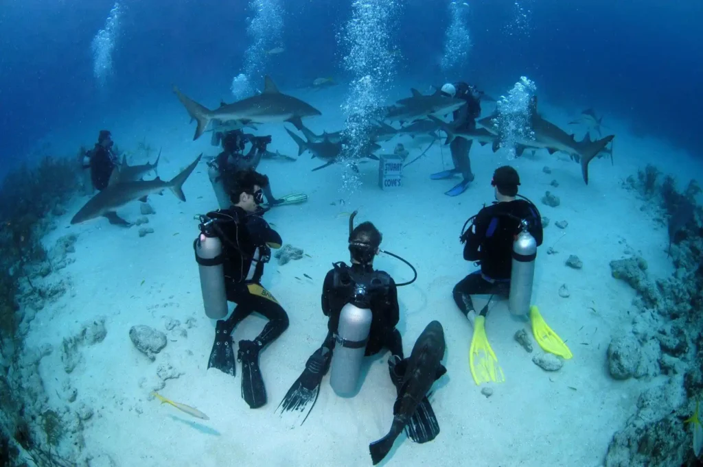 nassau diving 1