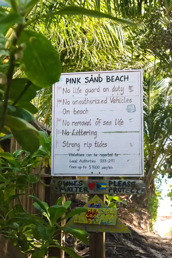 pink sand beach