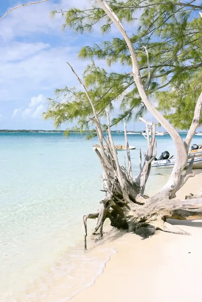 stocking island beaches stocking island beaches
