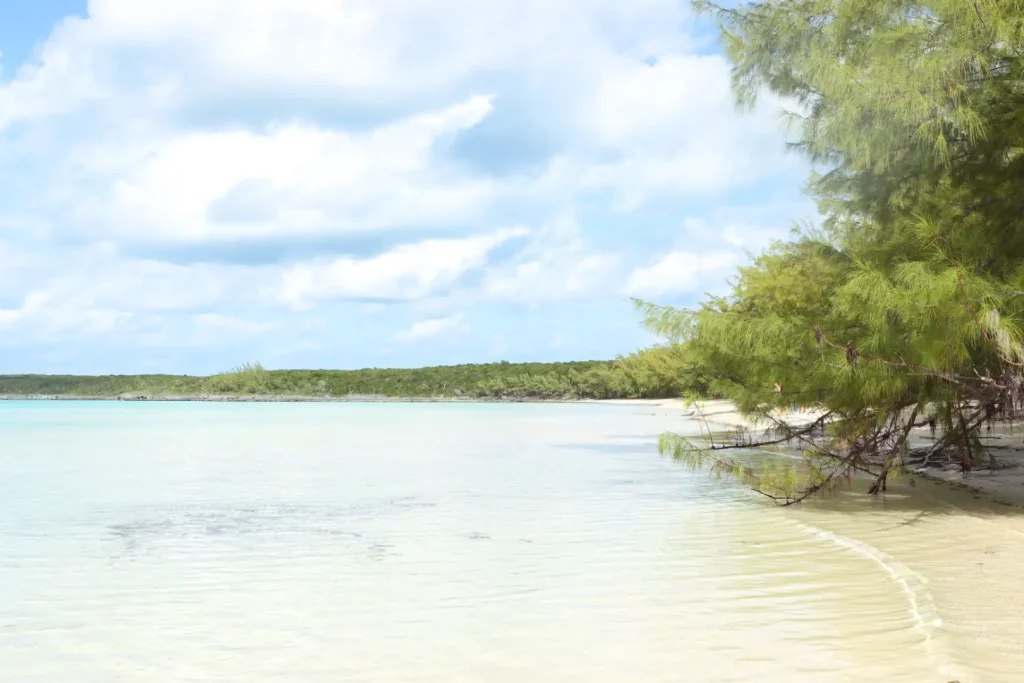 ten bay beach eleuthera bahamas
