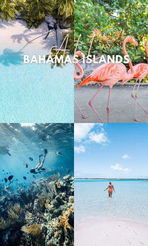 the bahamas 2